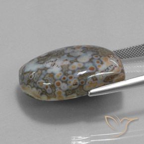 Jaspe Multicolorido Natural 45.73ct, Chique, Opaco