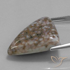 Jaspe Multicolorido Natural 40.07ct, Trilhão, Opaco