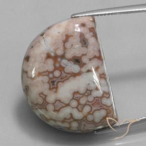 35.32ct Natural Multicolorido Jaspe, Chique, Opaco