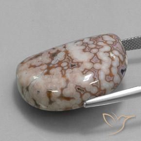 Jaspe Multicolorido Natural 35.32ct, Chique, Opaco
