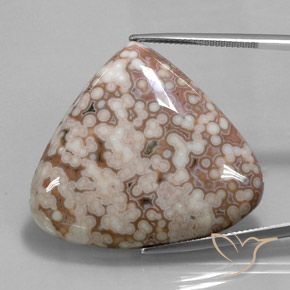 56.08ct Natural Multicolorido Jaspe, Formato de pêra, Opaco