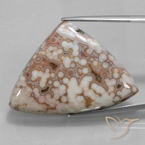 48.51ct Natural Multicolorido Jaspe, Trilhão, Opaco