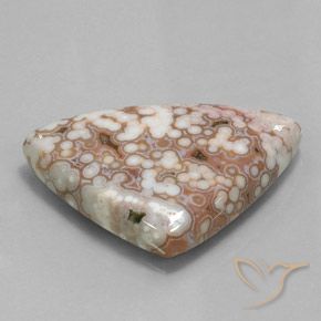 Jaspe Multicolorido Natural 48.51ct, Trilhão, Opaco