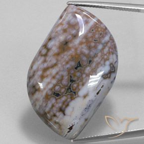 50.91ct Natural Multicolorido Jaspe, Chique, Opaco