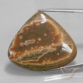 41.62ct Natural Multicolorido Jaspe, Formato de pêra, Opaco