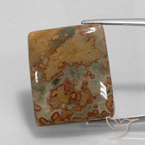 36.10ct Natural Multicolorido Jaspe, baguete, Opaco