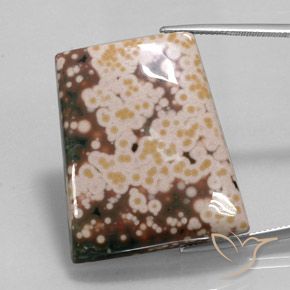 65,3 ct Fancy Jasper, 33,2 x 27,7 mm da Indonésia, Photo A