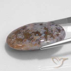 Jaspe Multicolorido Natural 43.68ct, oval, Opaco