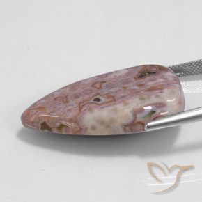 Jaspe Multicolorido Natural 32.30ct, Formato de pêra, Opaco