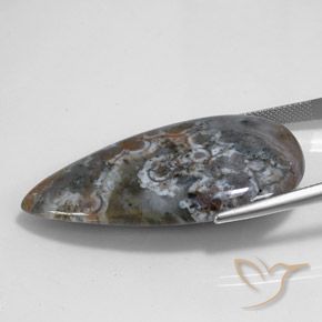 Jaspe Multicolorido Natural 44.98ct, Formato de pêra, Opaco