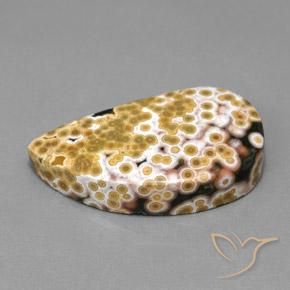 Jaspe Multicolorido Natural 11.97ct, Chique, Opaco