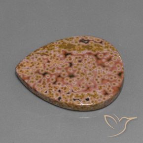 Jaspe Multicolorido Natural 44.44ct, Formato de pêra, Opaco