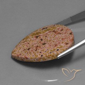 Jaspe Multicolorido Natural 44.44ct, Formato de pêra, Opaco