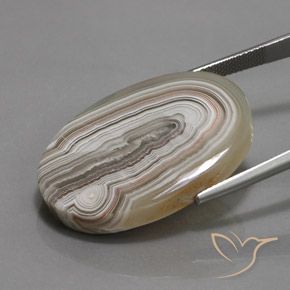 Jaspe Multicolorido Natural 32.23ct, oval, Opaco