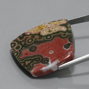 Jaspe multicolorido natural 36,00ct, forma extravagante, opaco