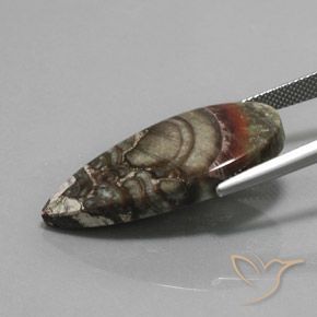 Jaspe Multicolorido Natural 16.94ct, Formato de pêra, Opaco
