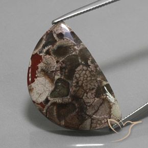 20.05ct Natural Multicolorido Jaspe, Chique, Opaco