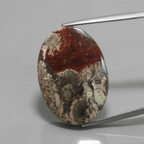 Jaspe multicolorido natural 20,06ct, corte oval, opaco