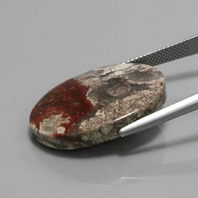 Jaspe multicolorido natural 20,06ct, corte oval, opaco