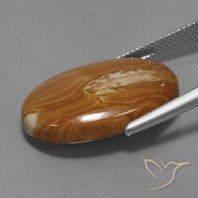 Jaspe Multicolorido Natural 19.27ct, oval, Opaco