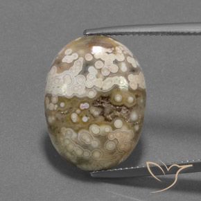 13.09ct Natural Multicolorido Jaspe, oval, Opaco