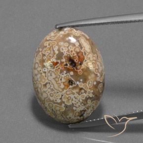 15.73ct Natural Multicolorido Jaspe, oval, Opaco