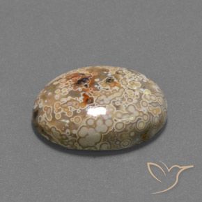 Jaspe Multicolorido Natural 15.73ct, oval, Opaco
