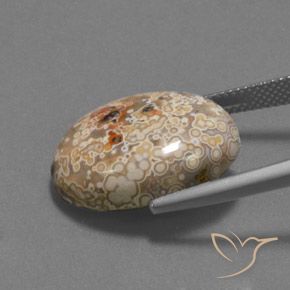 Jaspe Multicolorido Natural 15.73ct, oval, Opaco