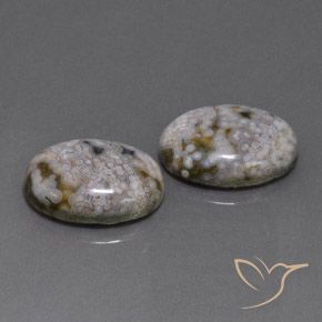 Pedras preciosas de Jaspe Multicolorido natural de 26.88 ct, oval, Opaco