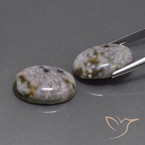Pedras preciosas de Jaspe Multicolorido natural de 26.88 ct, oval, Opaco