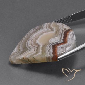 Jaspe Multicolorido Natural 39.03ct, Formato de pêra, Opaco