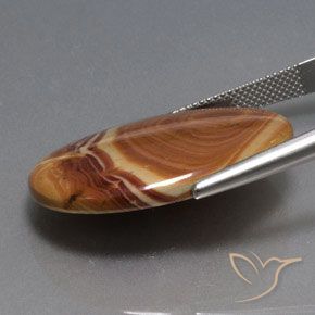 Jaspe Multicolorido Natural 21.59ct, oval, Opaco