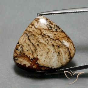 24.75ct Natural Multicolorido Jaspe, Formato de pêra, Opaco