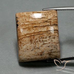 32,3 ct Baguette Jasper, 23,6 x 20,1 mm Da Indonésia, Photo A