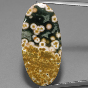 Jaspe multicolorido natural 19,53ct, corte oval, opaco