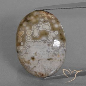 12.72ct Natural Multicolorido Jaspe, oval, Opaco