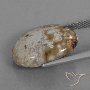 Jaspe Multicolorido Natural 12.72ct, oval, Opaco