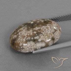 Jaspe Multicolorido Natural 13.00ct, oval, Opaco