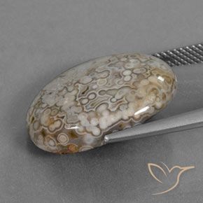 Jaspe Multicolorido Natural 12.43ct, oval, Opaco