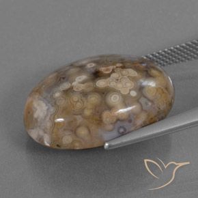 Jaspe Multicolorido Natural 15.78ct, oval, Opaco