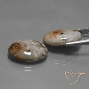 Pedras preciosas de Jaspe Multicolorido natural de 26.60 ct, oval, Opaco