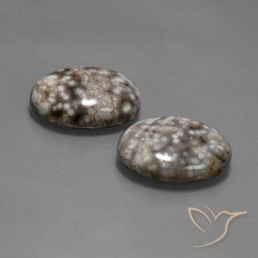 Pedras preciosas de Jaspe Multicolorido natural de 26.12 ct, oval, Opaco