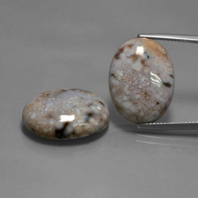 Pedras preciosas de jaspe multicolorido natural de 28,35 ct, corte oval, opaco