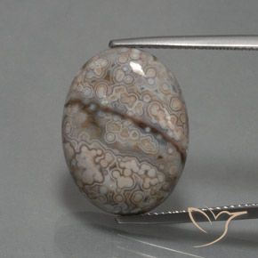 12.39ct Natural Multicolorido Jaspe, oval, Opaco