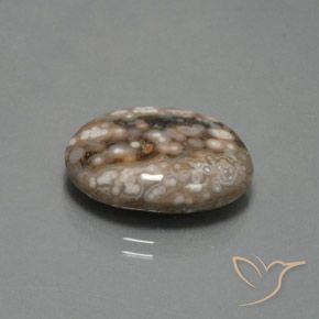 Jaspe Multicolorido Natural 12.87ct, oval, Opaco