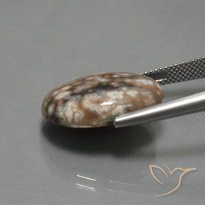 Jaspe Multicolorido Natural 12.87ct, oval, Opaco