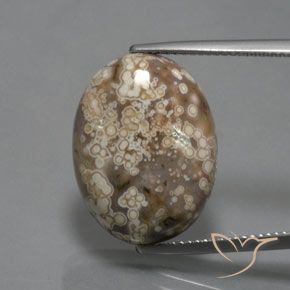 14.73ct Natural Multicolorido Jaspe, oval, Opaco