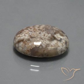 Jaspe Multicolorido Natural 14.73ct, oval, Opaco