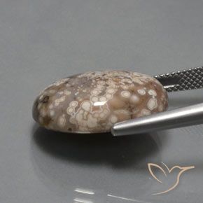 Jaspe Multicolorido Natural 14.73ct, oval, Opaco