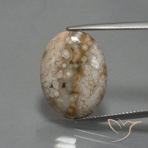 11.83ct Natural Multicolorido Jaspe, oval, Opaco